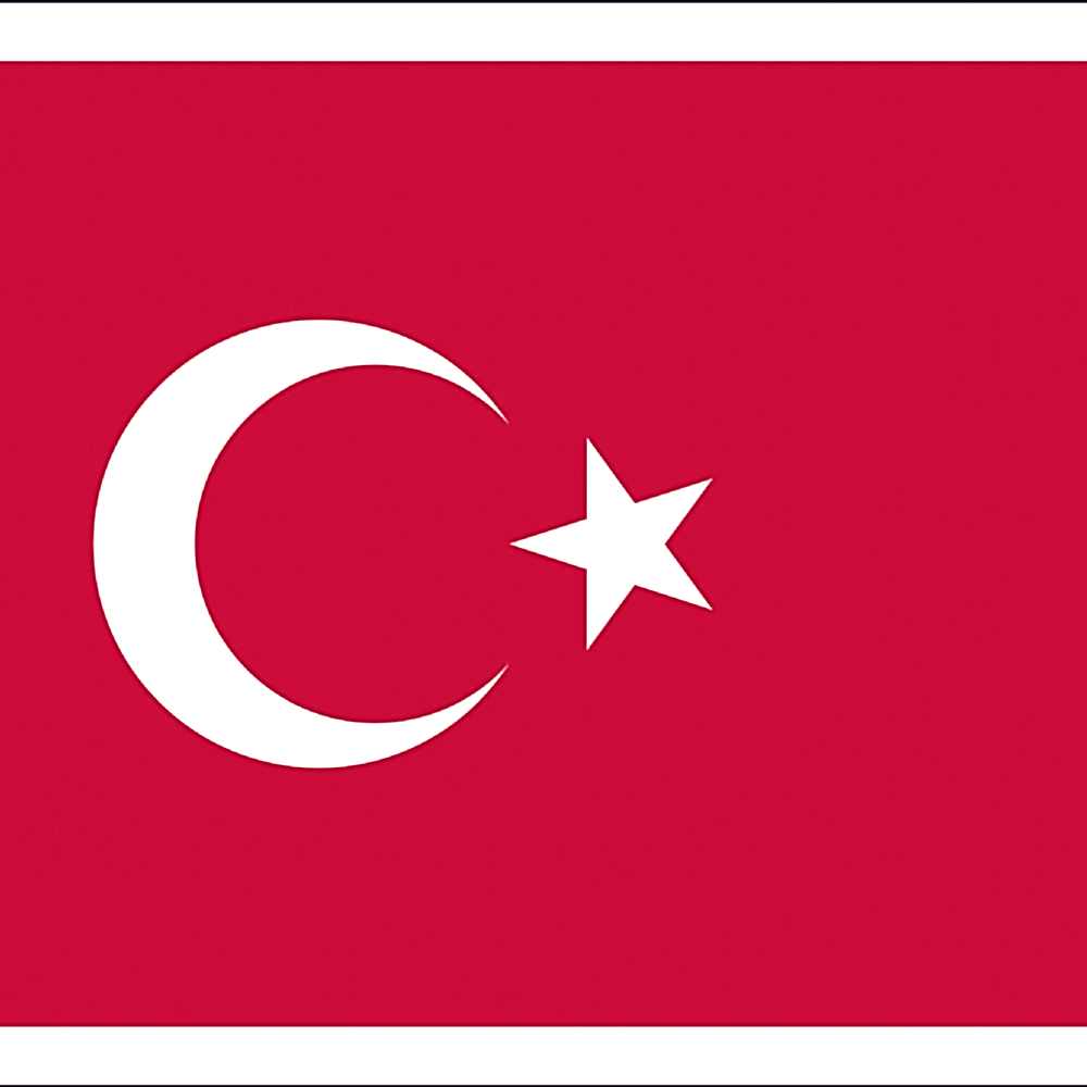 TÜRK